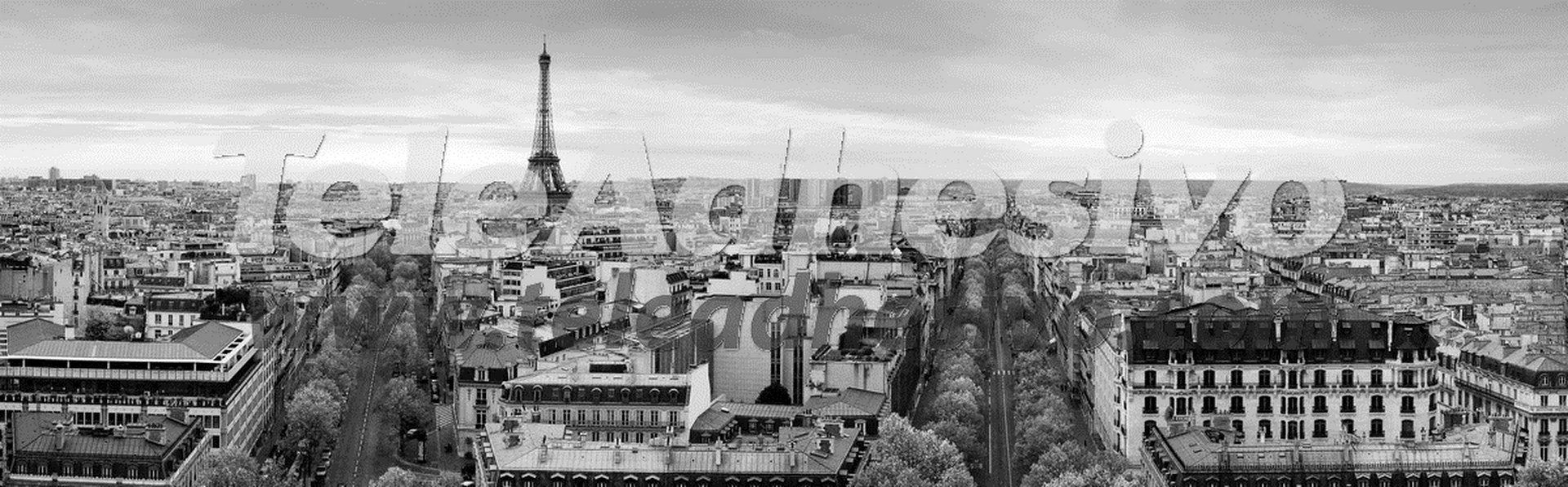 Fotomurali : Panoramica di Parigi in bianco e nero