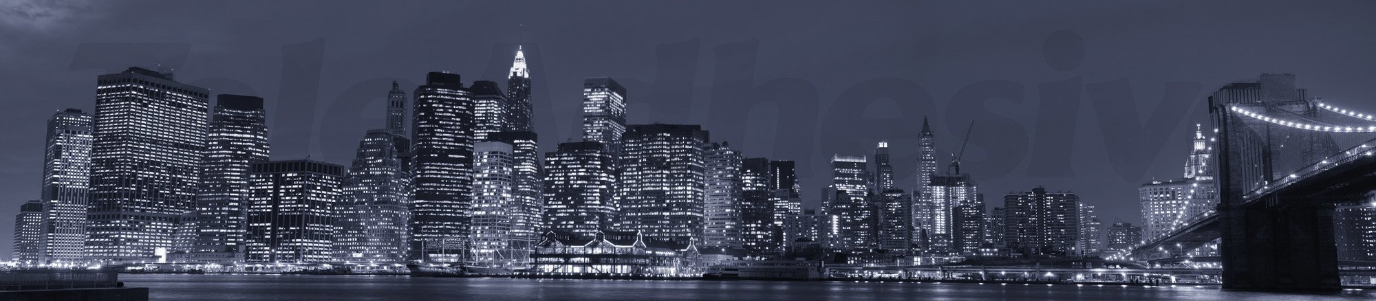 Fotomurali : Panoramica di Manhattan durante la notte