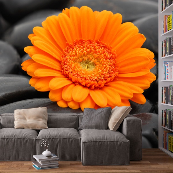 Fotomurali : Gerbera arancio