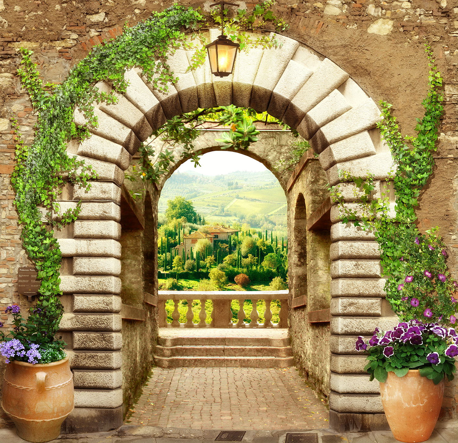 Fotomurali : Grande porta sul punto di vista