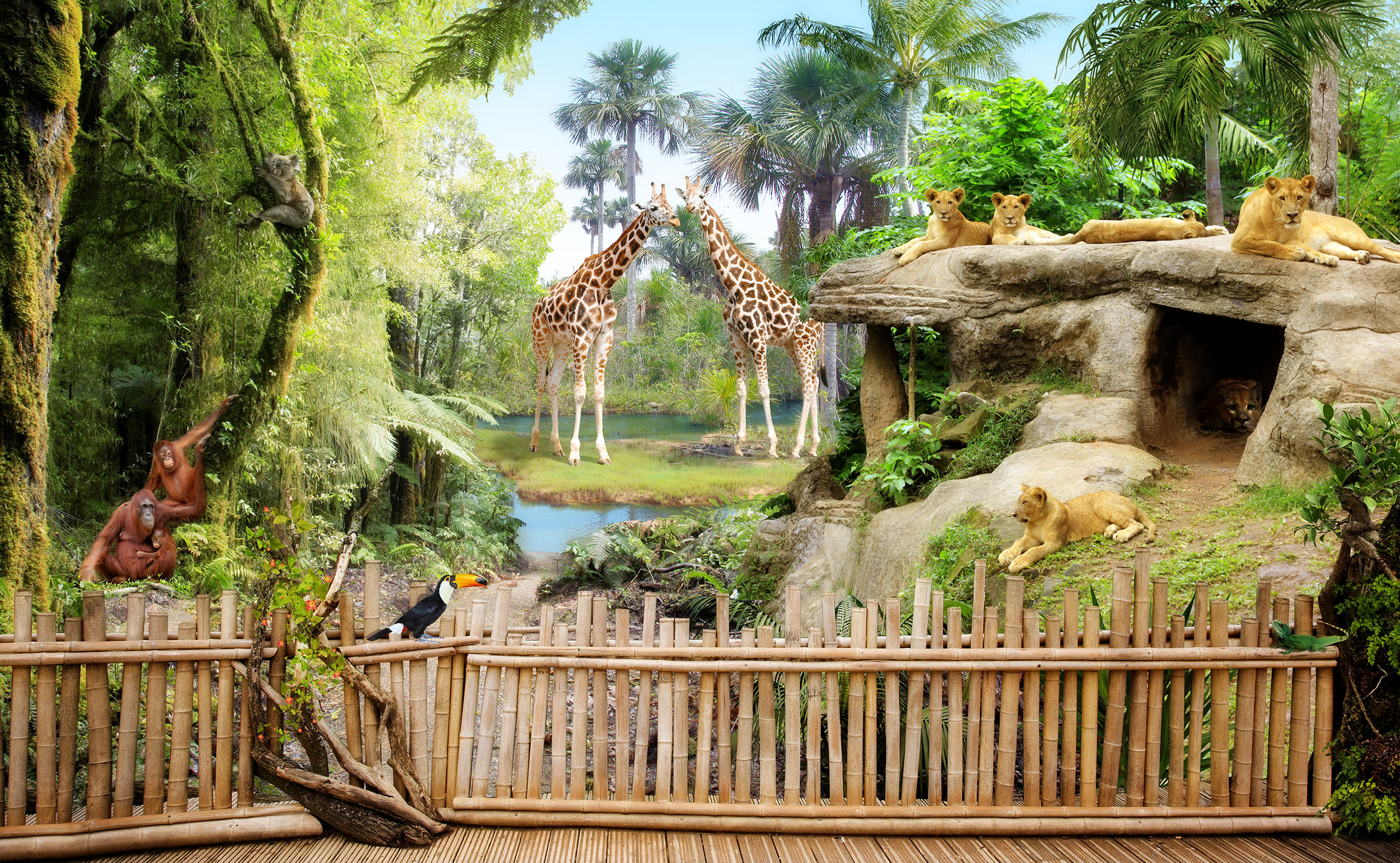 Fotomurali : Animali della giungla