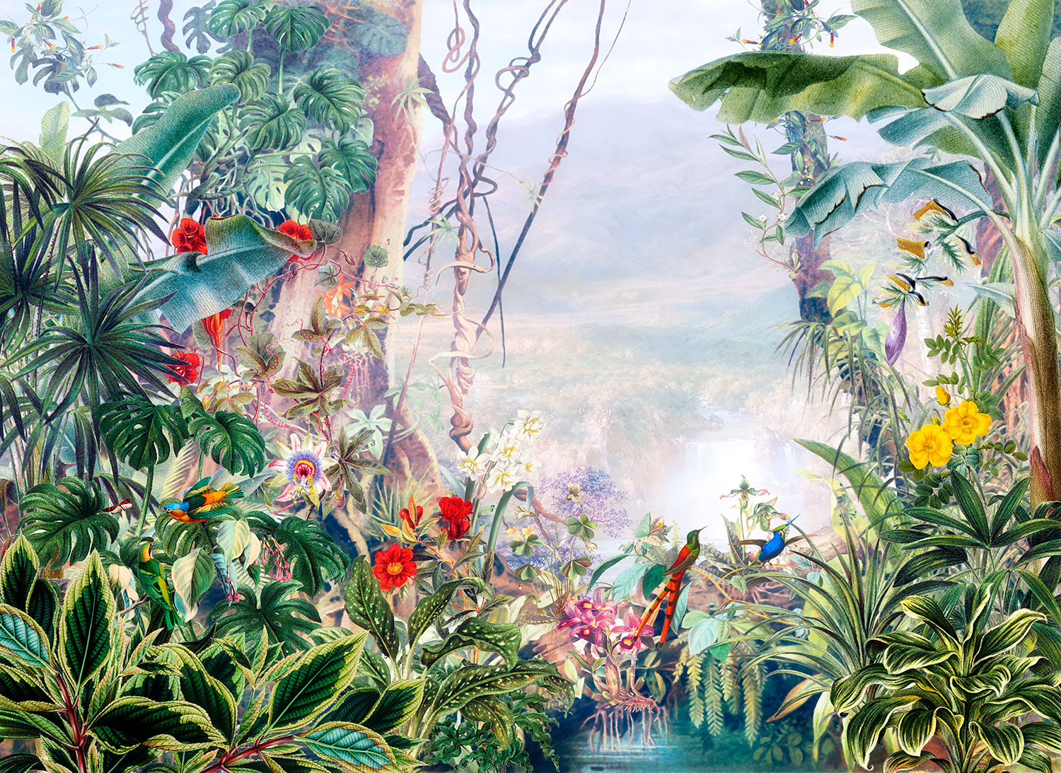 Fotomurali : Selva tropicale