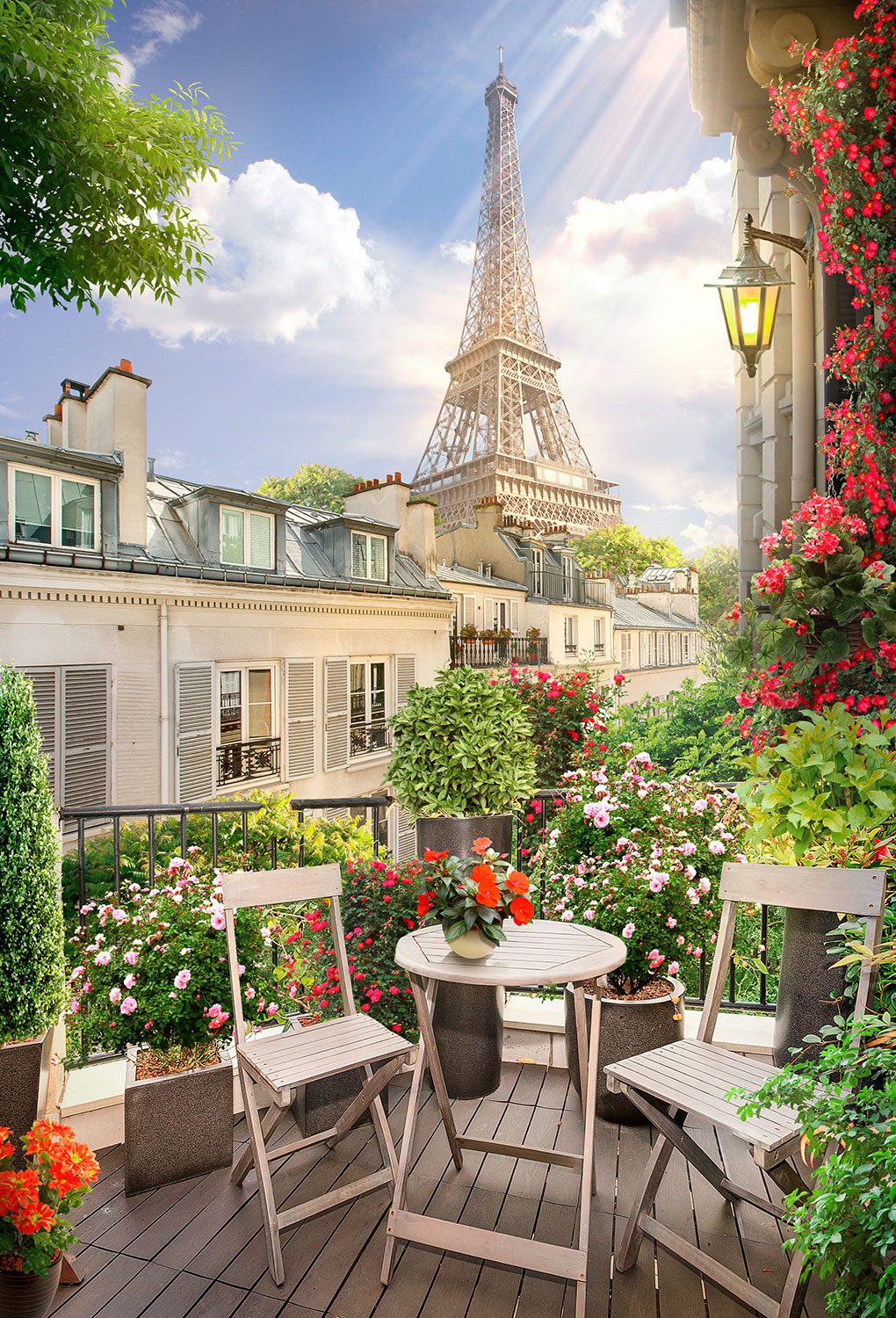 Fotomurali : Terrazza di fronte alla torre Eiffel