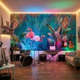 Fotomurali : Fenicotteri su Sfondo Turchese 3