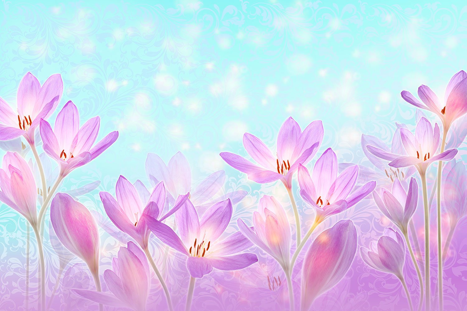 Fotomurali : Fiori Viola Dipinti