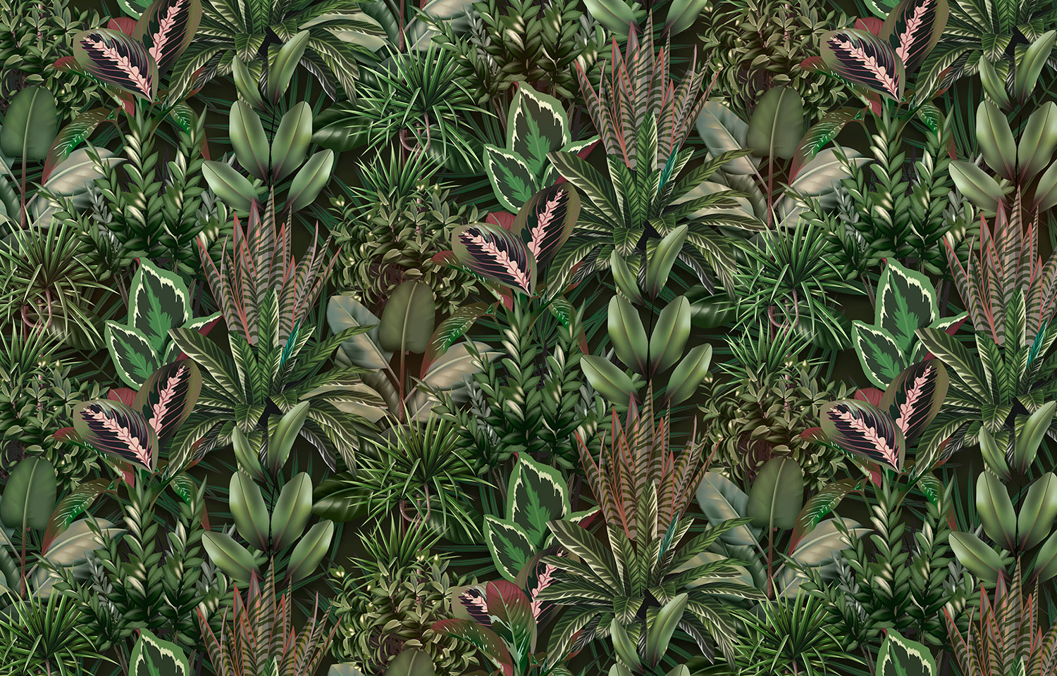 Fotomurali : Vegetazione Selvatica