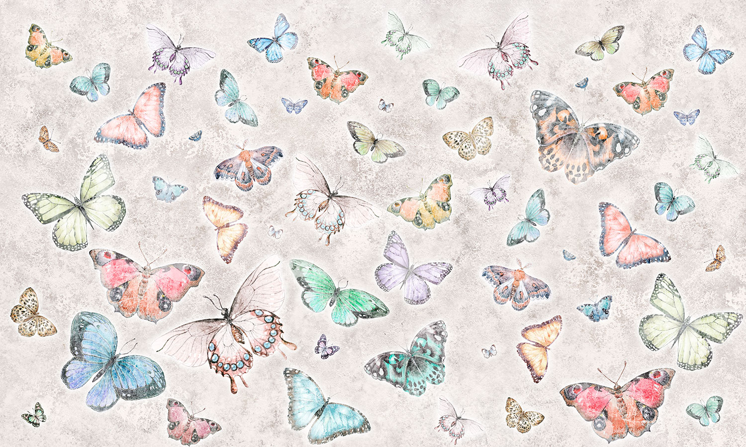 Fotomurali : Collage di Farfalle
