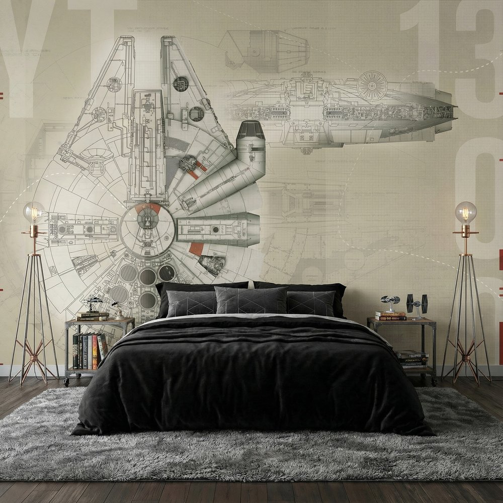 Fotomurali : Progetto del Millennium Falcon