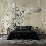 Fotomurali : Progetto del Millennium Falcon 3
