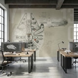 Fotomurali : Progetto del Millennium Falcon 4