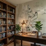 Fotomurali : Piantine del Millennium Falcon 9