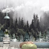 Fotomurali : Alberi nella Nebbia 2