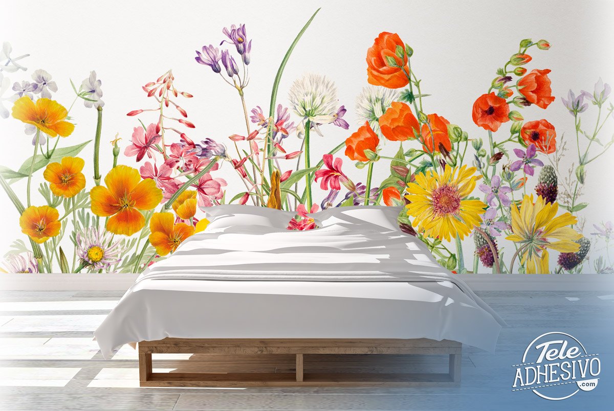 Fotomurali : Fiori Selvatici
