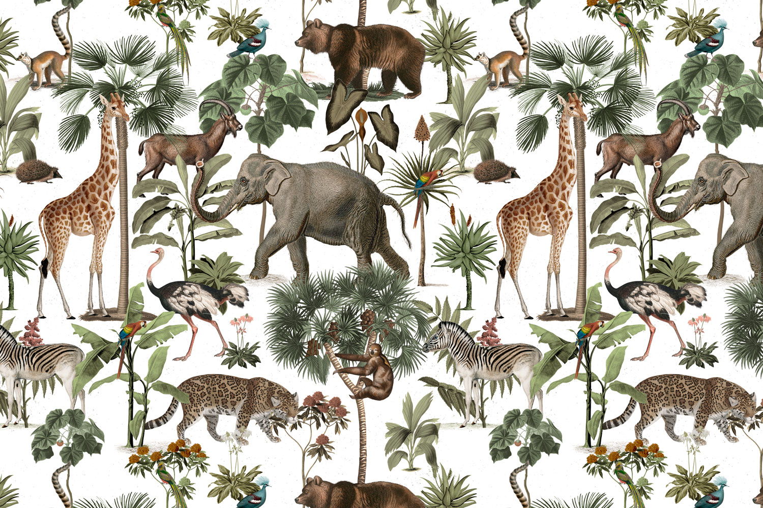 Fotomurali : Collage Animali