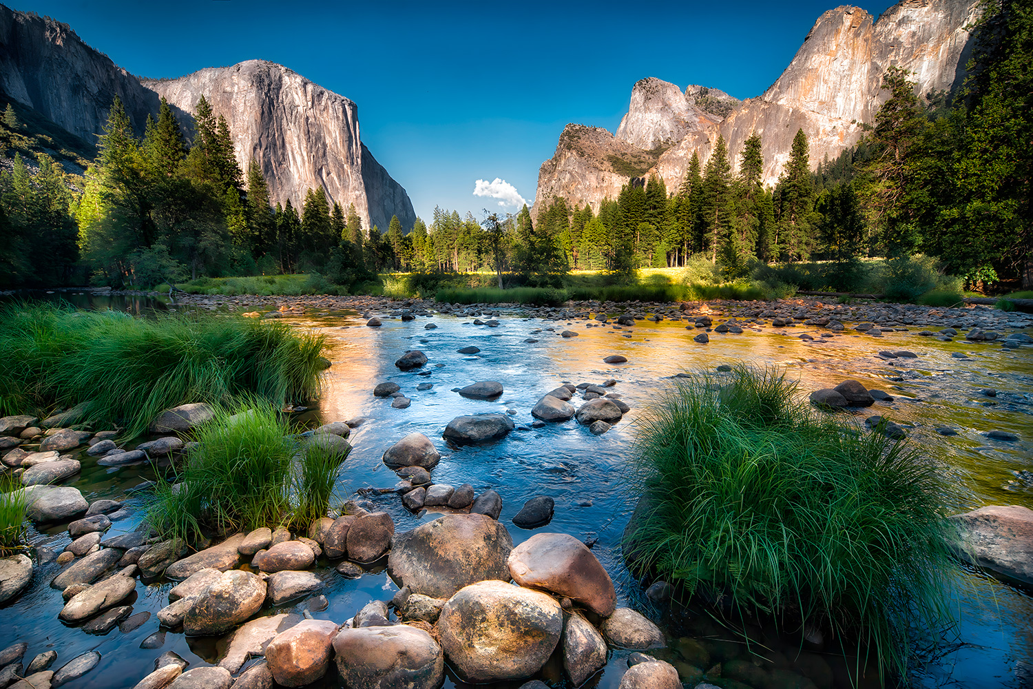 Fotomurali : Parco nazionale dello Yosemite