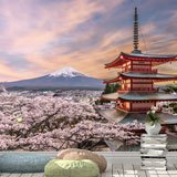 Fotomurali : Monte Fuji 2