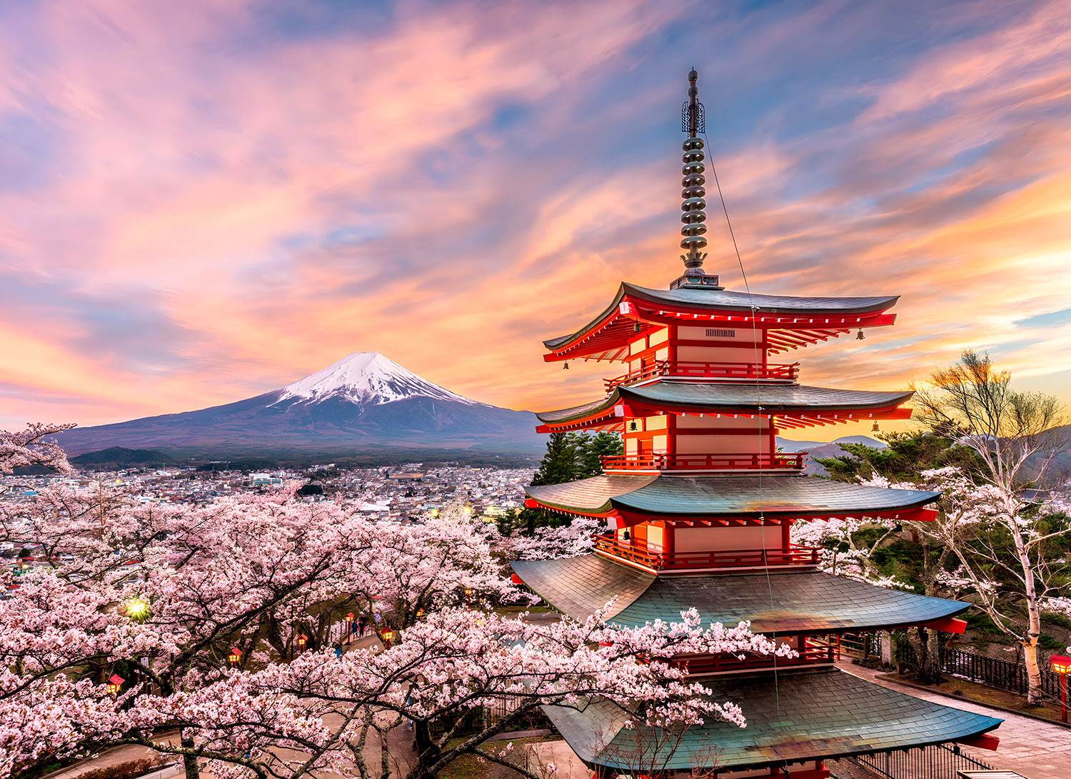 Fotomurali : Monte Fuji