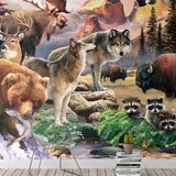 Fotomurali : Fauna di alta montagna 2