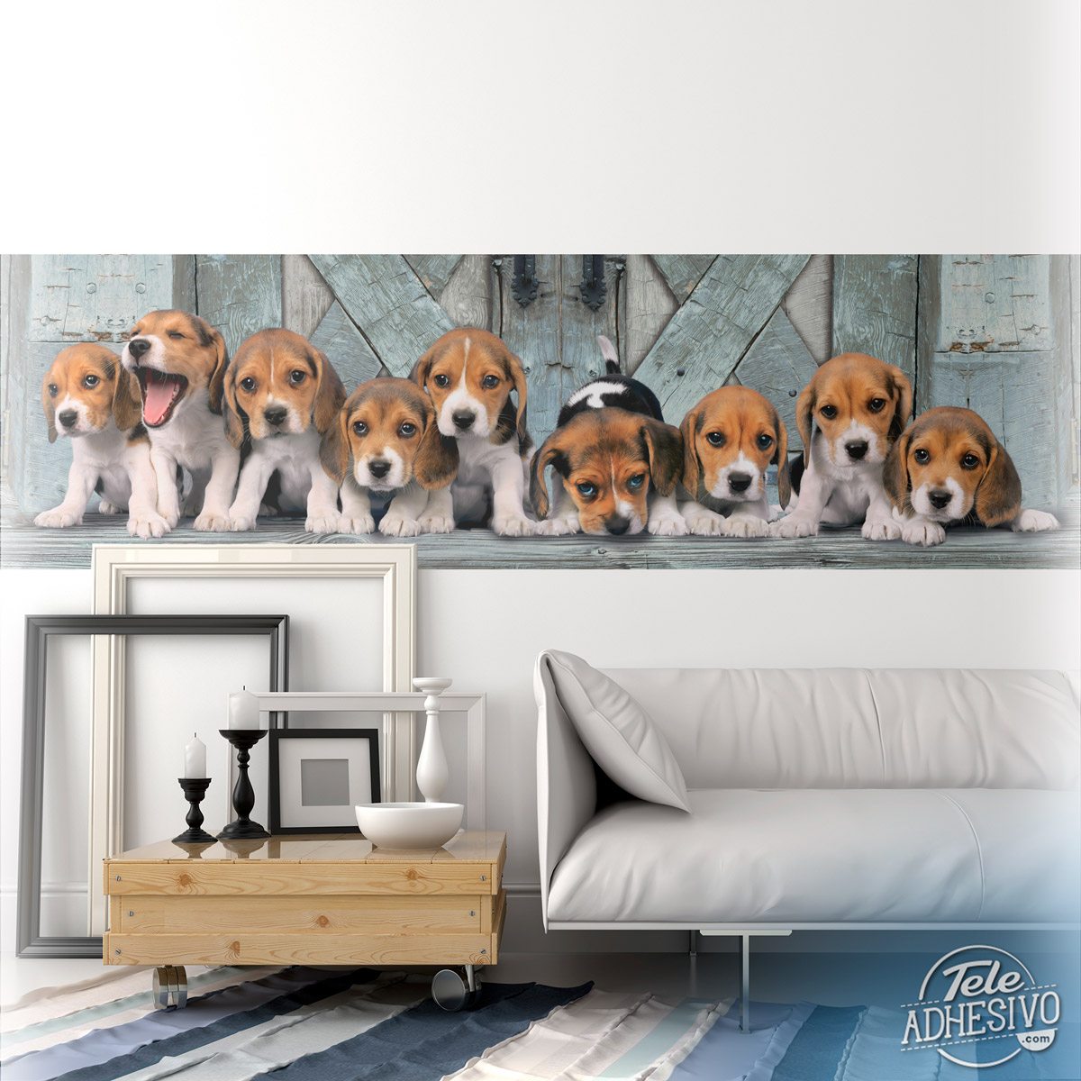 Fotomurali : Cuccioli di Beagle