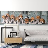 Fotomurali : Cuccioli di Beagle 2