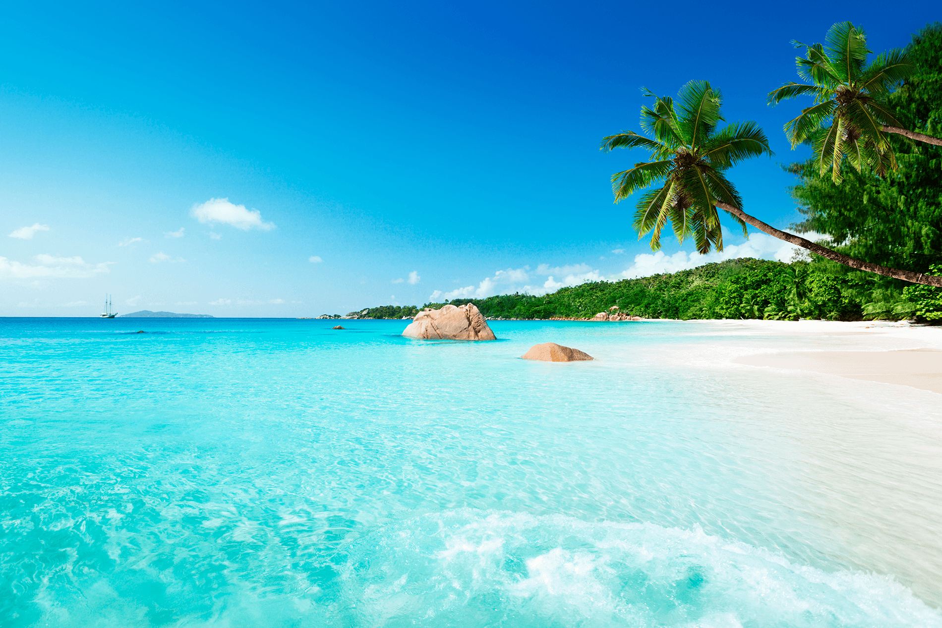 Fotomurali : Spiaggia di Anse Lazio Seychelles