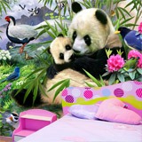 Fotomurali : Orso panda 3