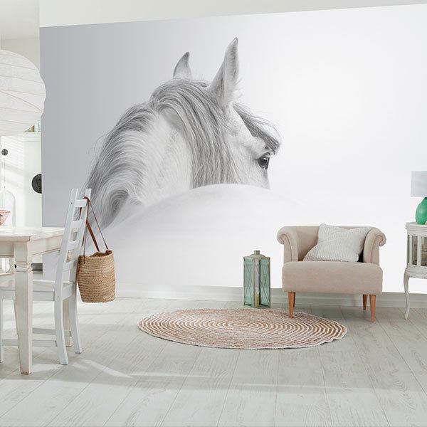 Fotomurali : Cavallo bianco