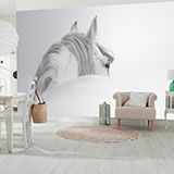 Fotomurali : Cavallo bianco 2