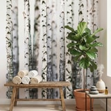 Fotomurali : Foresta di betulla 18