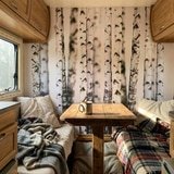 Fotomurali : Foresta di betulla 21