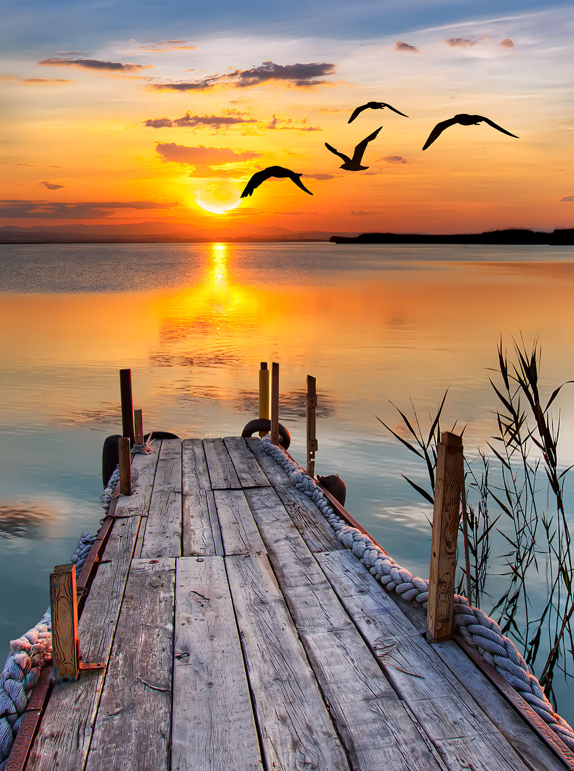 Fotomurali : Tramonto sul molo