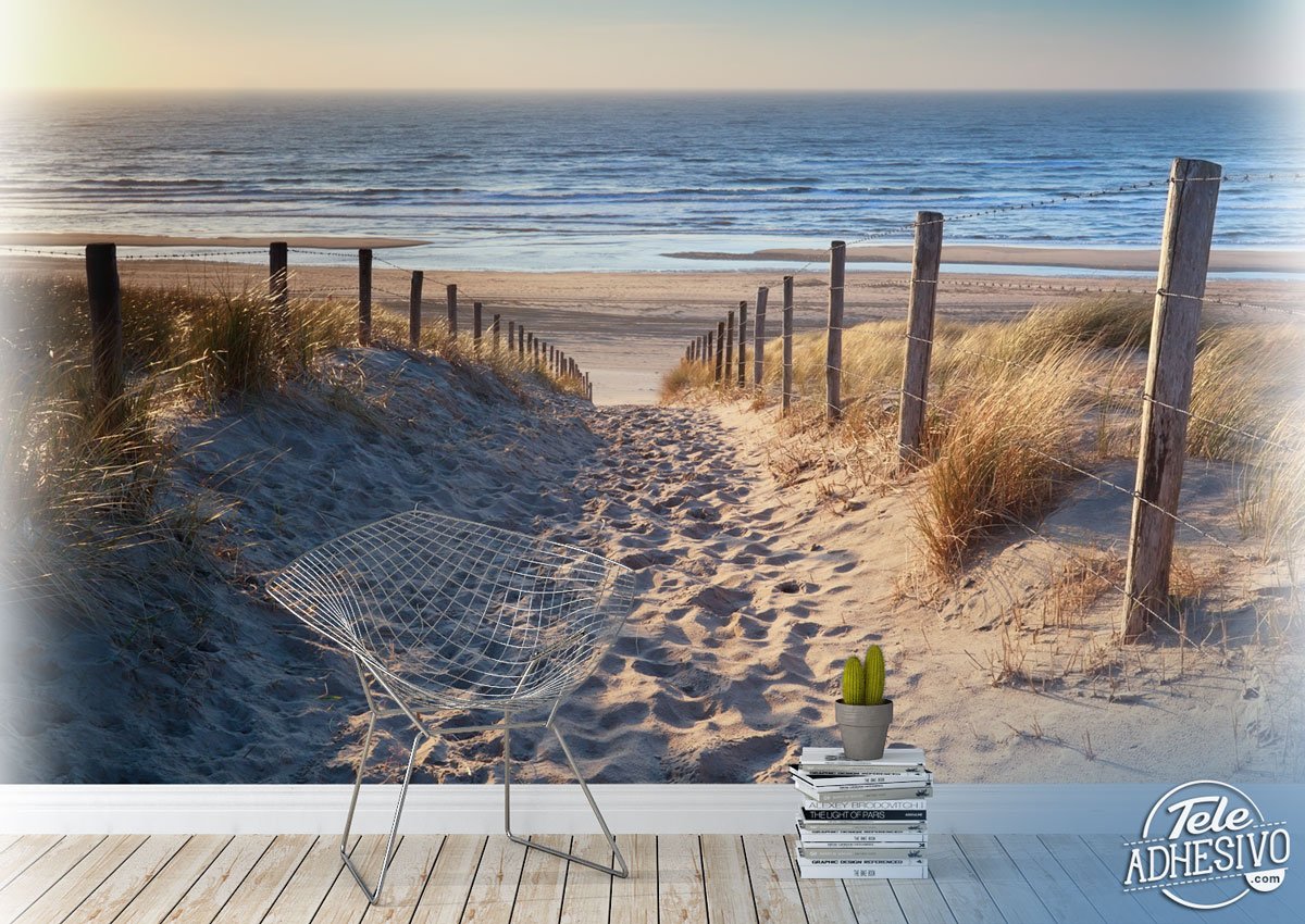 Fotomurali : Sulla strada per la spiaggia