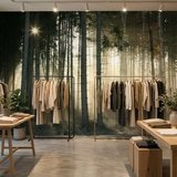 Fotomurali : Incandescenza nei boschi 12