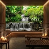 Fotomurali : Cascate nel giardino tropicale 8