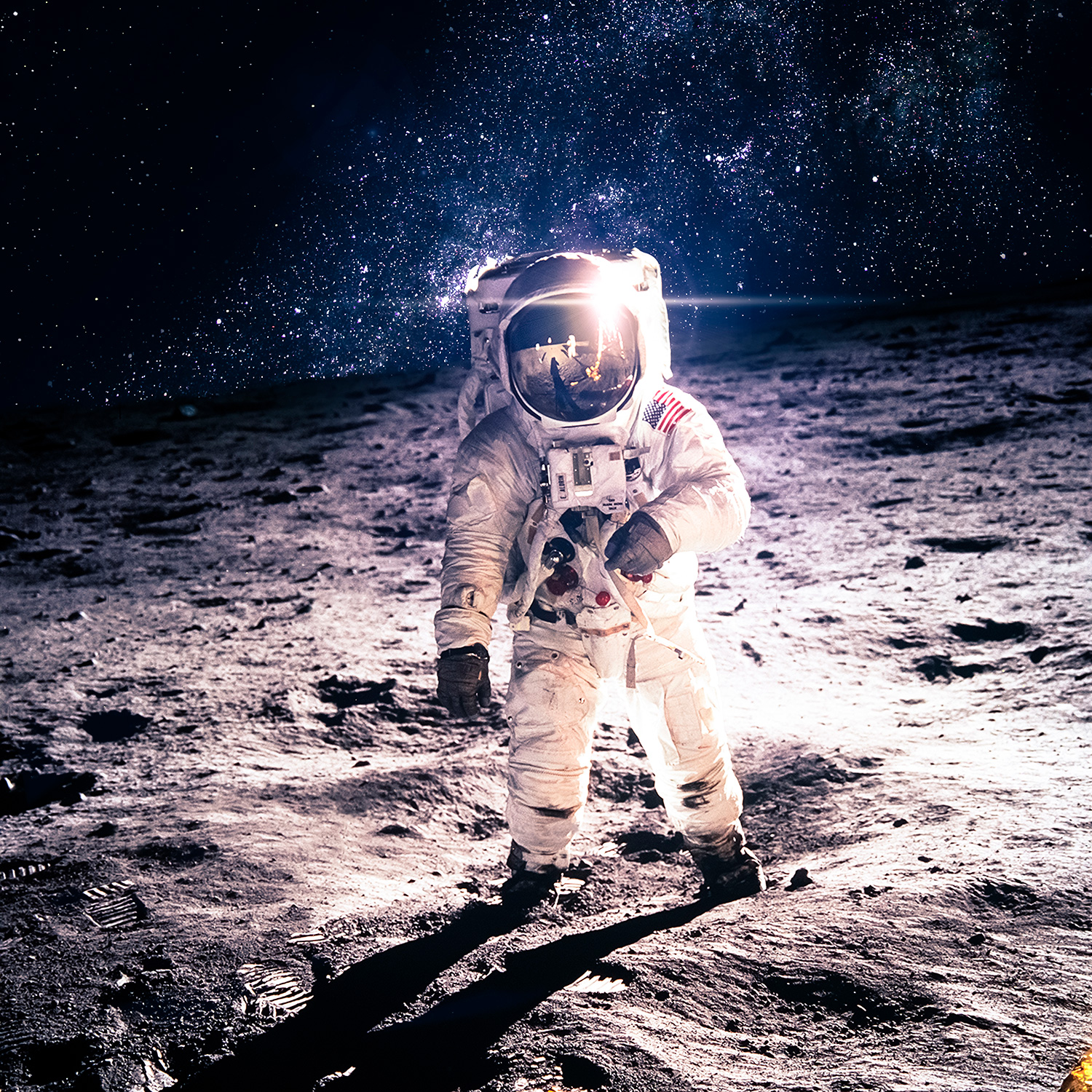 Fotomurali : Armstrong sulla Luna