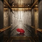 Fotomurali : Pioggia a Parigi 12