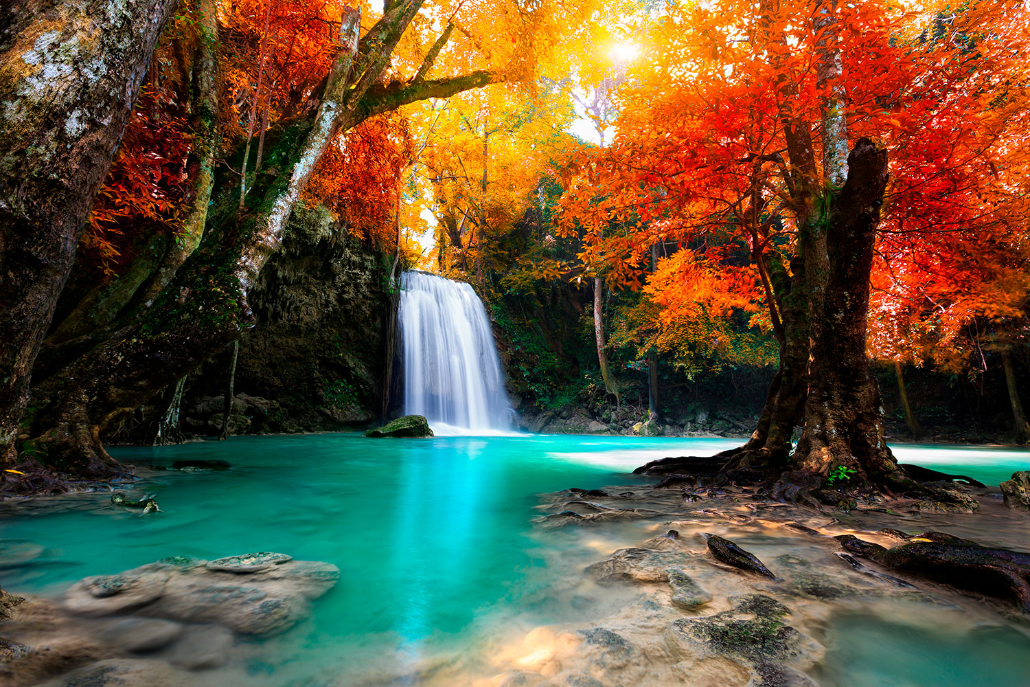 Fotomurali : Cascata profonda in autunno
