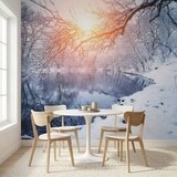 Fotomurali : L'alba in inverno 9