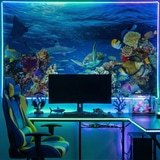 Fotomurali : Tartaruga nelle correnti marine 9