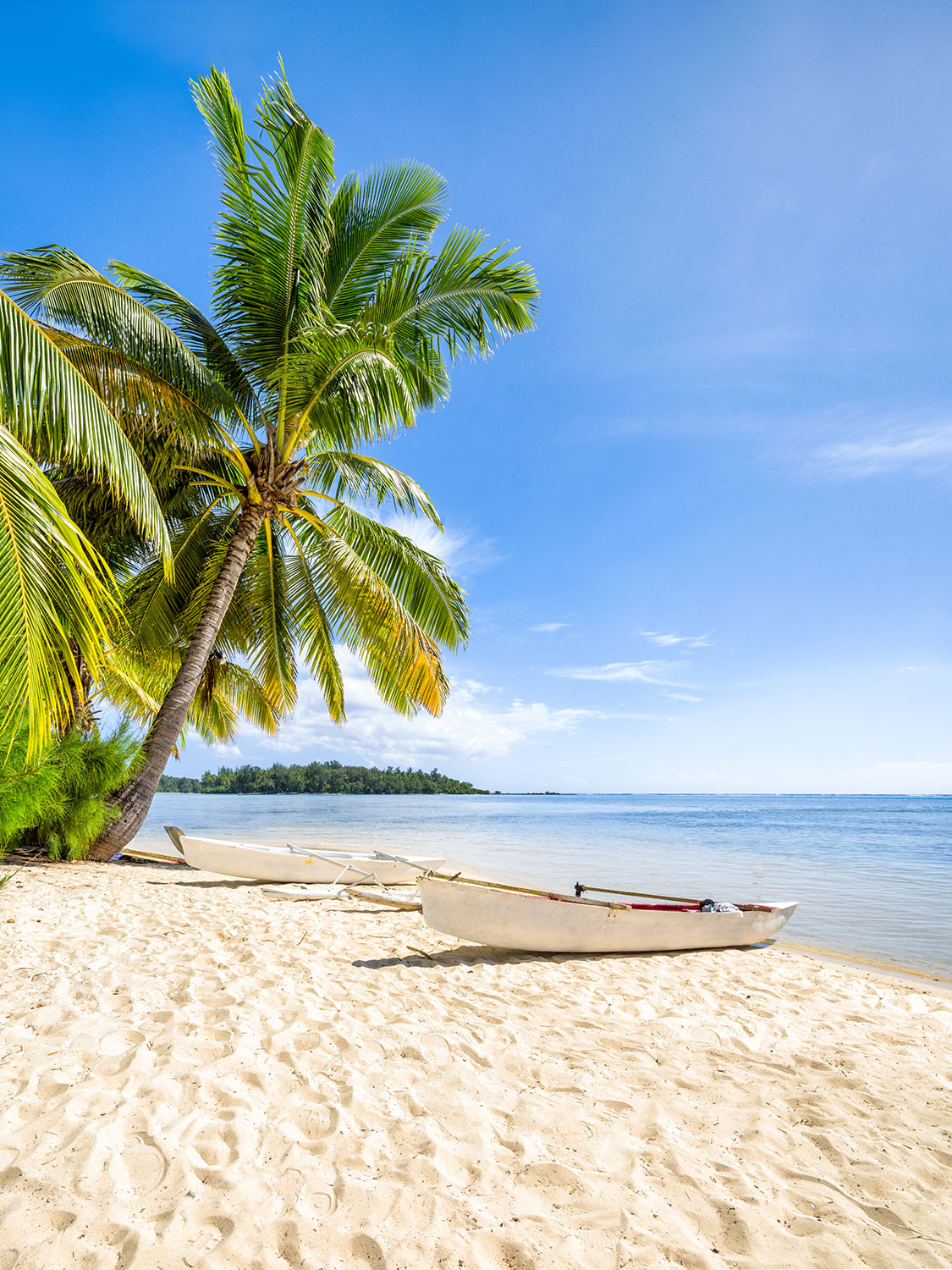 Fotomurali : Canoe nei Caraibi