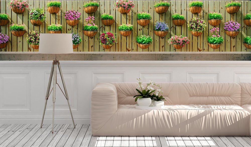 Fotomurali : Muro con vasi di fiori 2