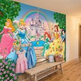 Fotomurali : Principesse e Castello Disney 15