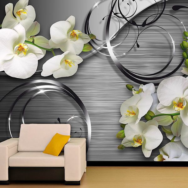 Fotomurali : Orchidee su metallo