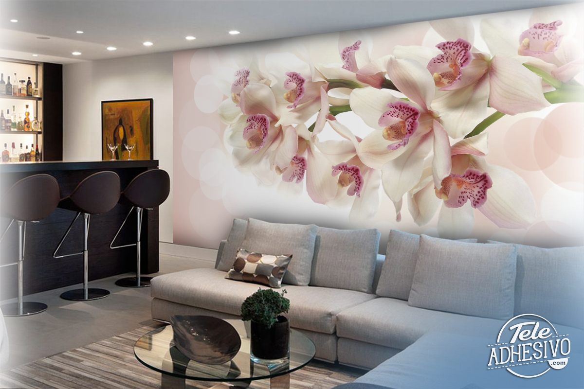 Fotomurali : Bouquet di orchidee