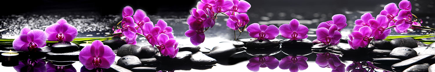 Fotomurali : Orchidee viola