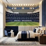 Fotomurali : Fotomurale Illustrazione Stadio Santiago Bernab&eacute;u 14