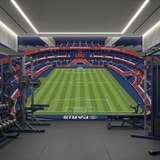Fotomurali : Fotomurale Illustrazione Stadio Parco dei Principi 19