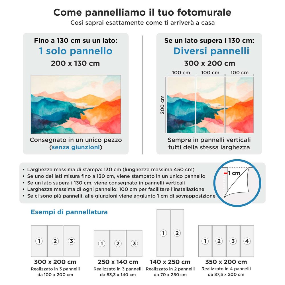 Fotomurali : Muro con vasi di fiori