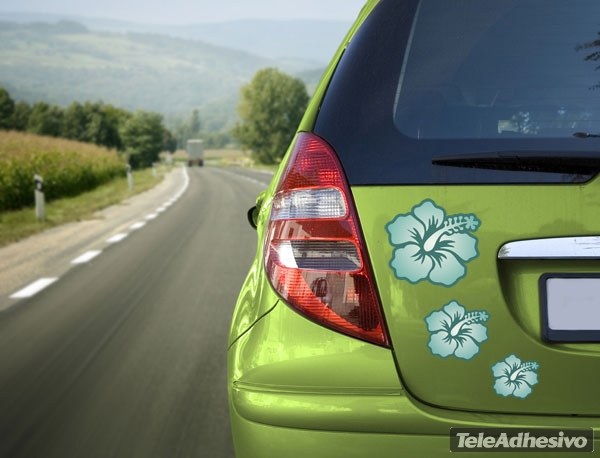 Adesivi per Auto e Moto: Flor surfFiore hawaiano Ibisco