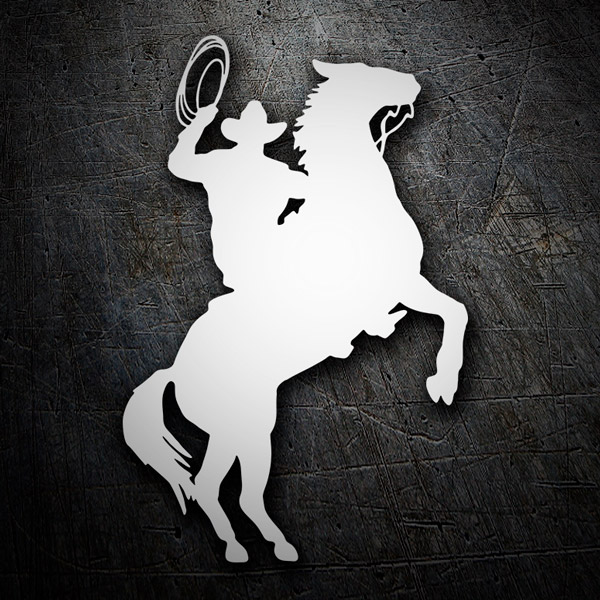 Cowboy con lazo su cavallo rampante 1/1